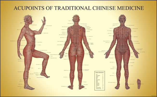 Acupressure Points Female